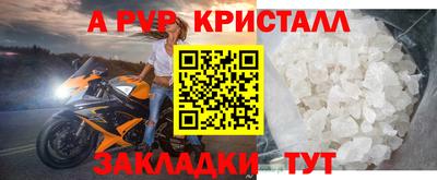 МДПВ Новодвинск