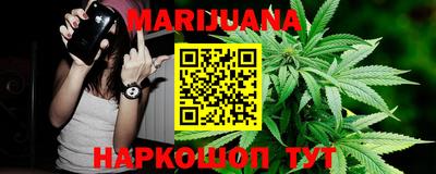 МДПВ Новодвинск
