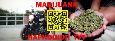 МДПВ Новодвинск