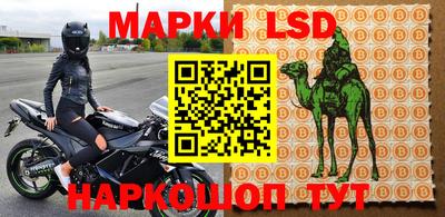 МДПВ Новодвинск