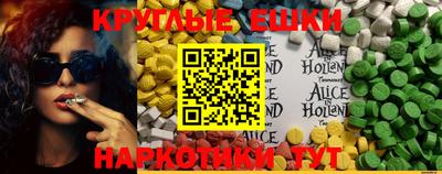 спиды Новозыбков