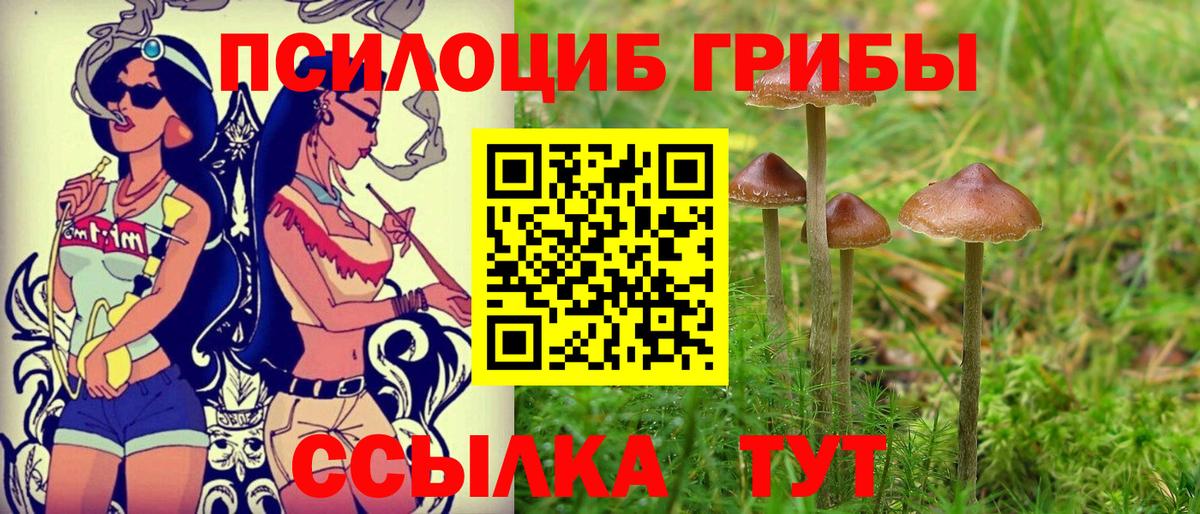 Псилоцибиновые грибы MAGIC MUSHROOMS Рузаевка
